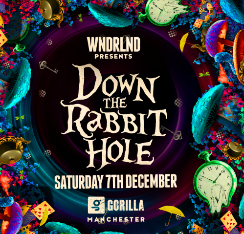 WNDRLND: Down The Rabbit Hole