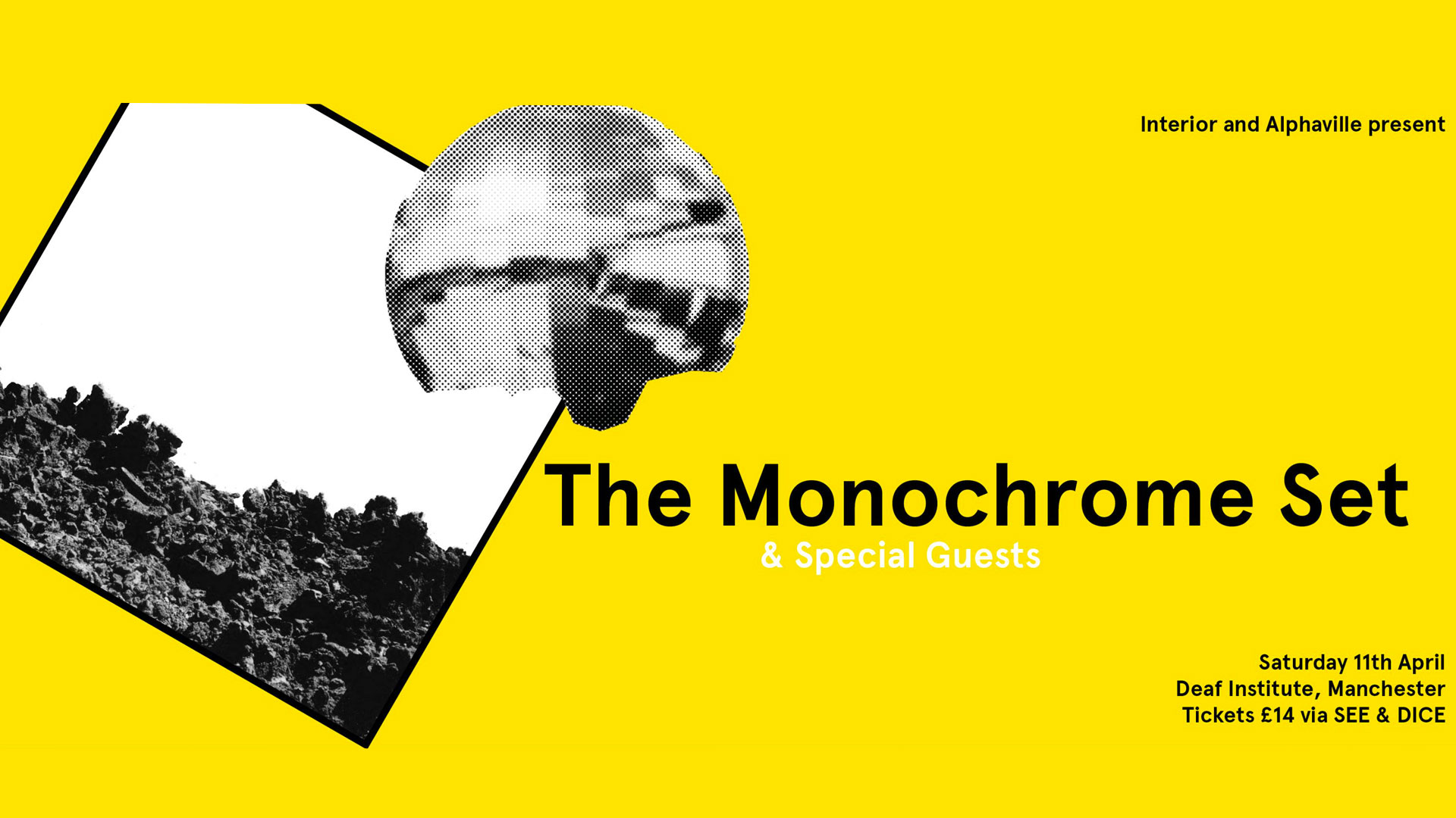 The Monochrome Set