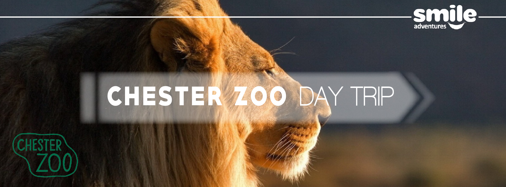 Chester Zoo Day Trip – From Manchester