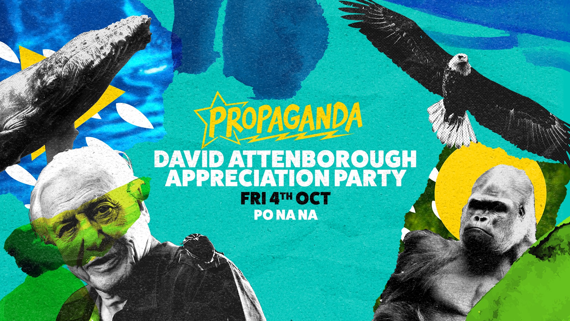 Propaganda Bath – David Attenborough Appreciation Party!