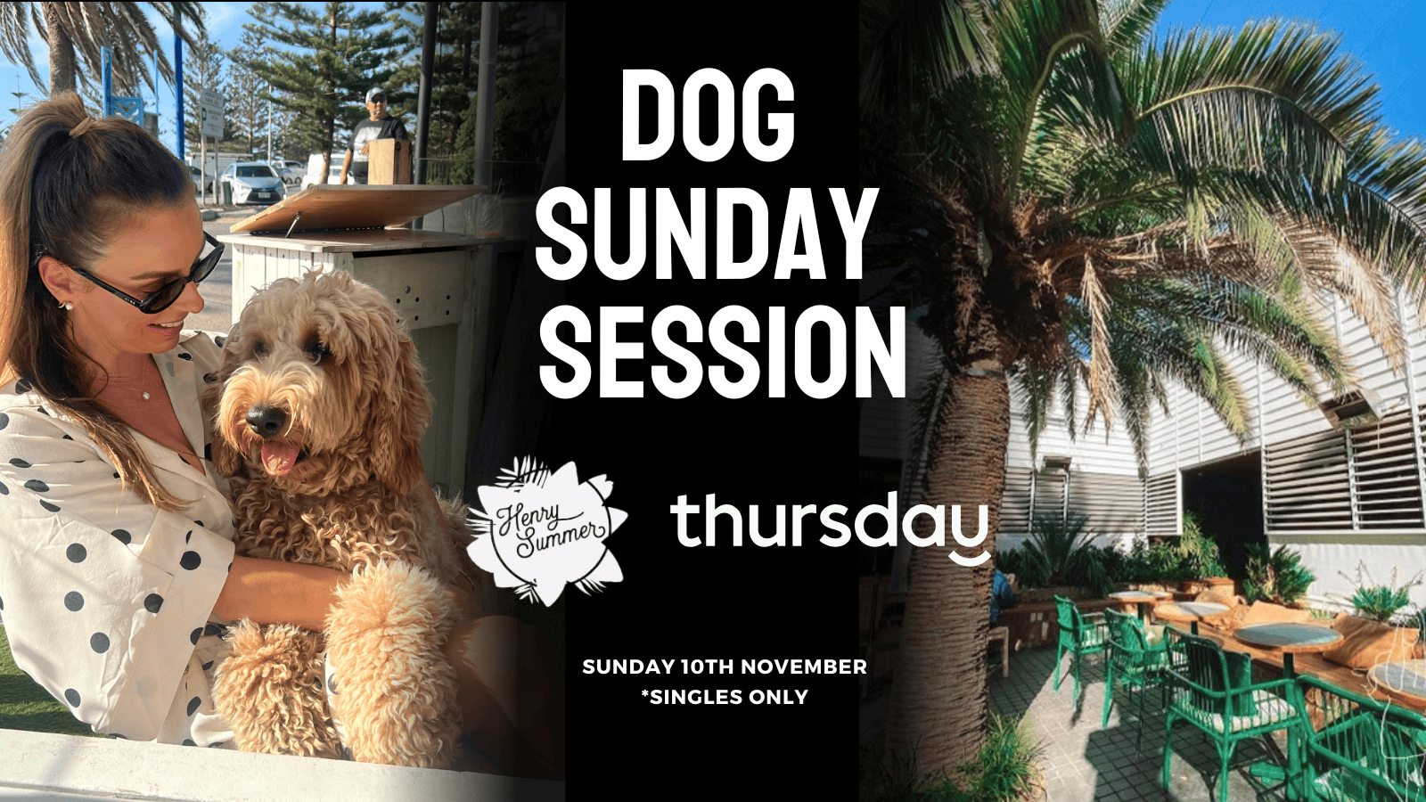 Sunday Session | Single Dog Mixer- Henry Summer | Northbridge