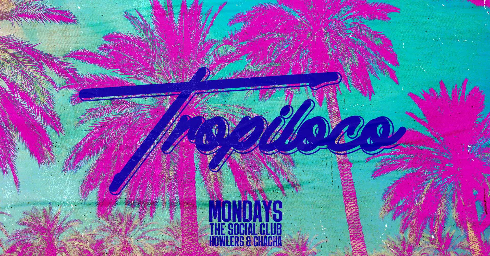 🪩🌴 TROPILOCO MONDAYS 🌴🪩 8TH SELL OUT! LIMITED LATE ENTRIES NOW ON // 6 ROOMS OF MUSIC // THE SOCIAL CLUB, HOWLERS & CHACHA