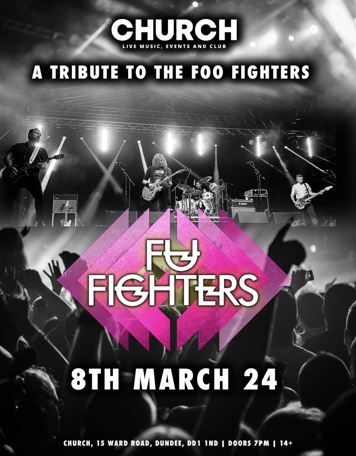 Fu Fighters Live