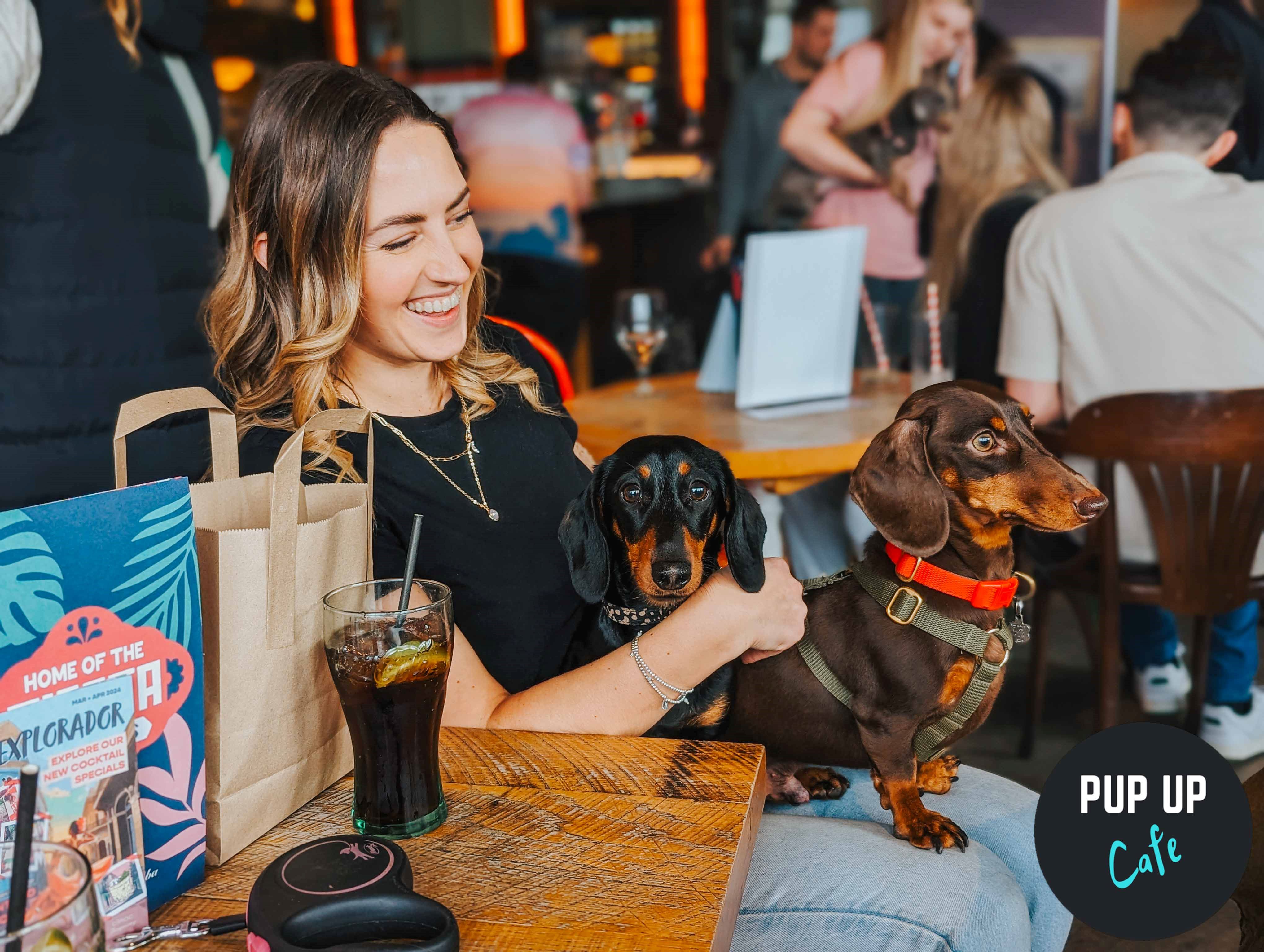 Dachshund Pup Up Cafe – Northampton