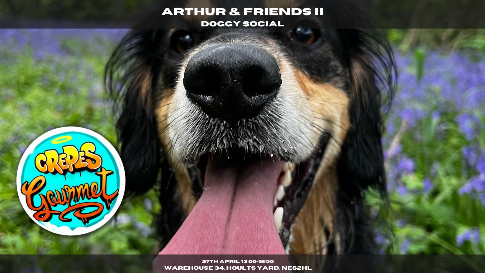 Arthur & Friends II – Doggy Social