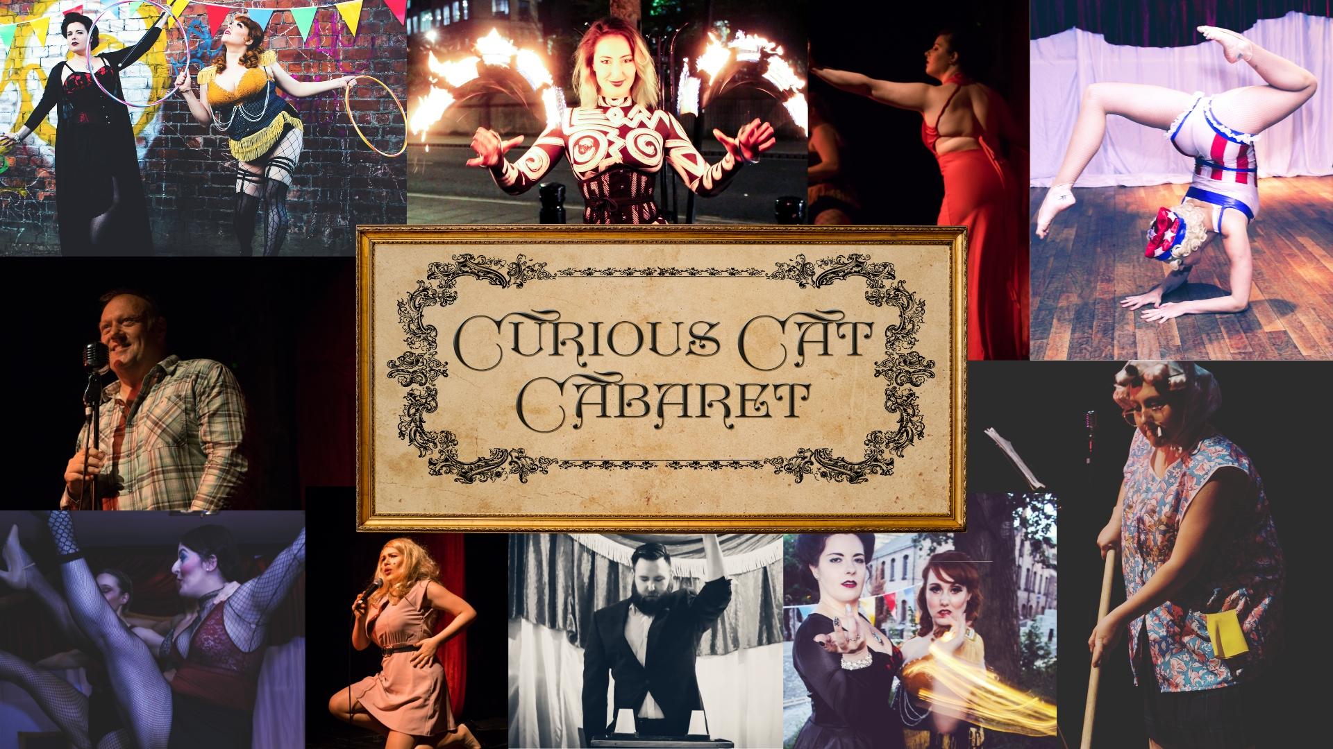 Summer Curious Cat Cabaret