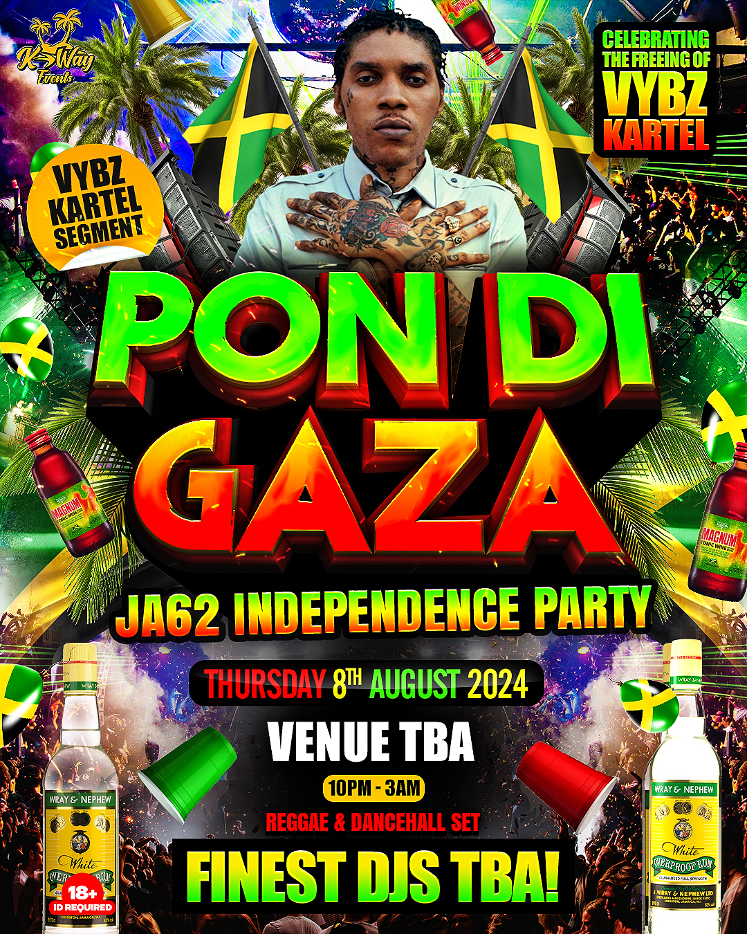 pon-di-gaza-birmingham-s-baddest-independence-party-at-rumrum