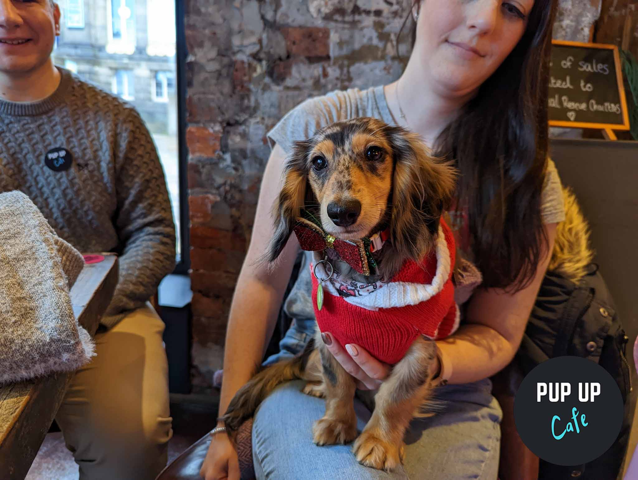 Milton Keynes – Dashing Dachshund Christmas Tour 🎄