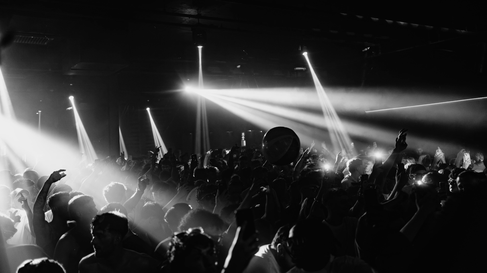 Excite – Rave & Roses