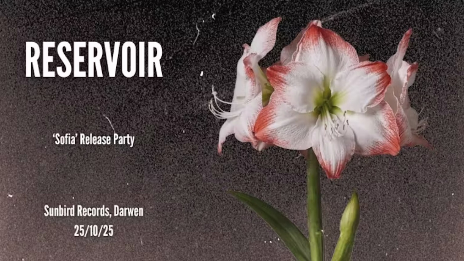 RESERVOIR: ‘Sofia’ Single Release Party