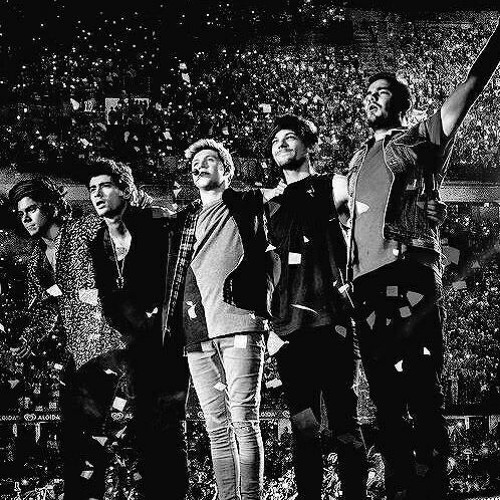 15 Years of One Direction Party