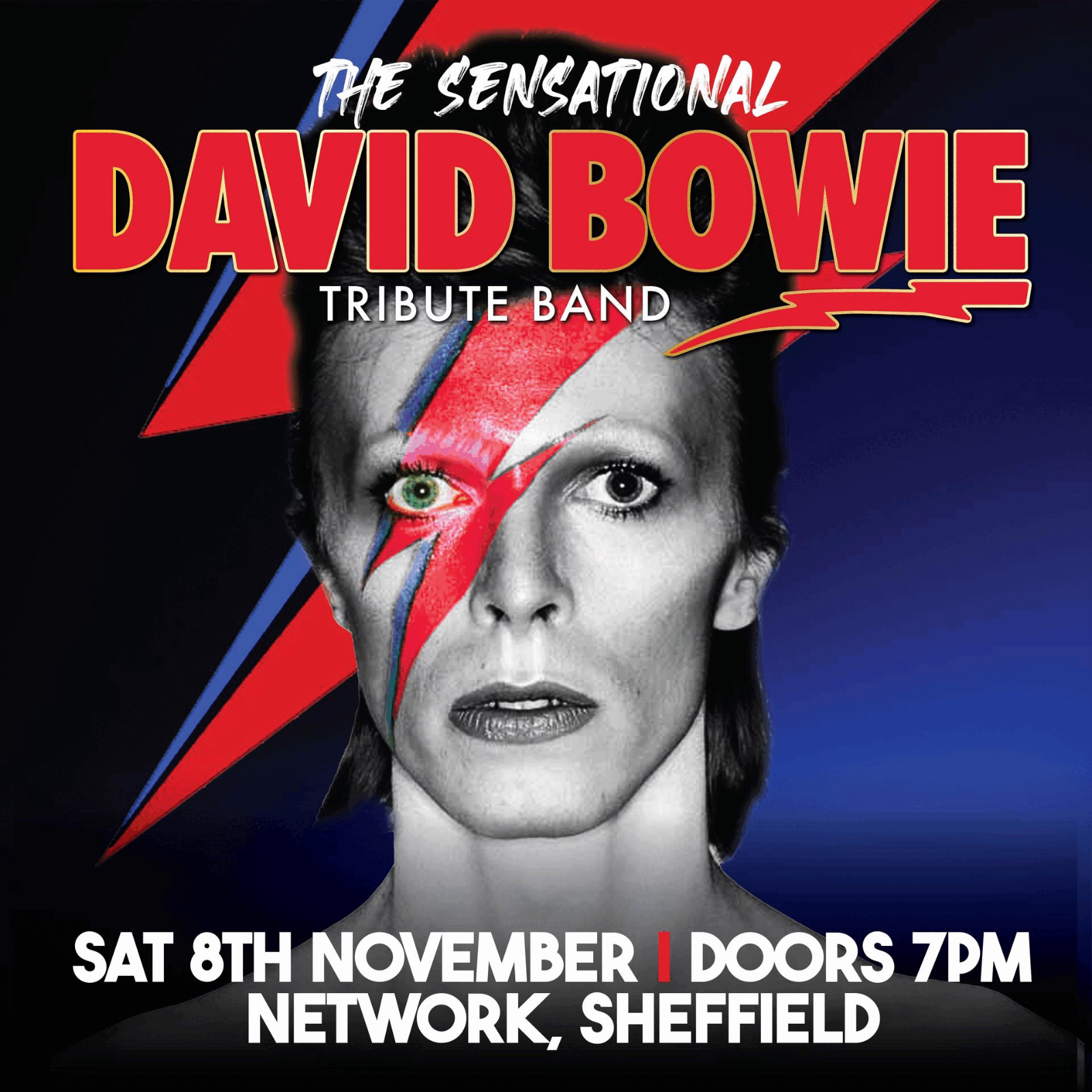 The Sensational David Bowie Tribute Band | Network 2