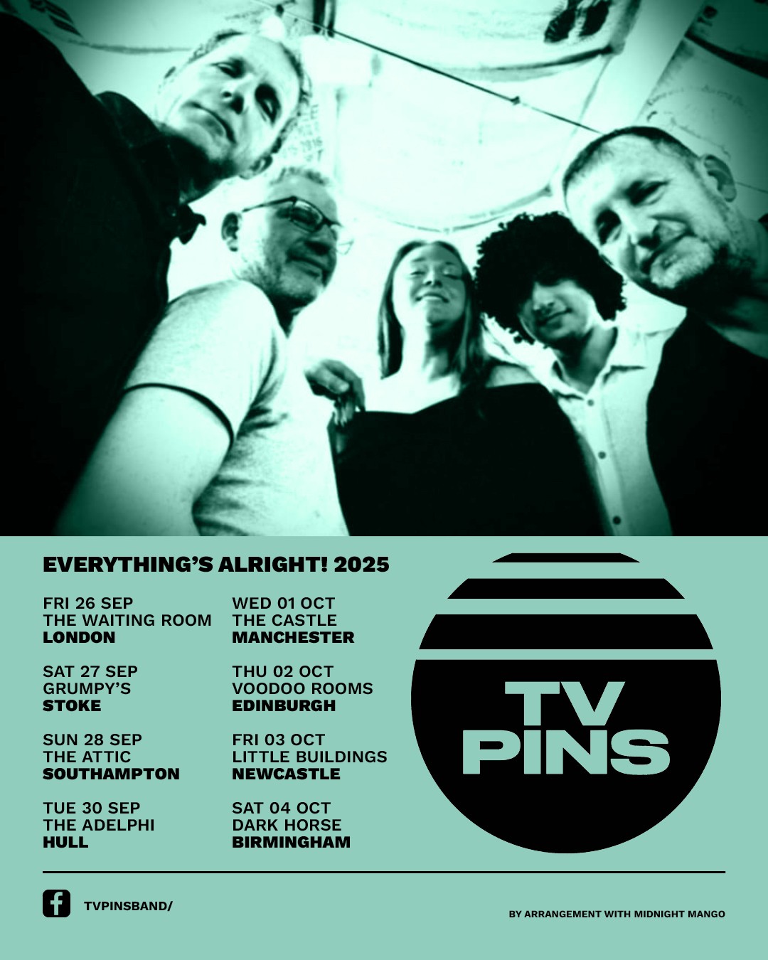 TV Pins