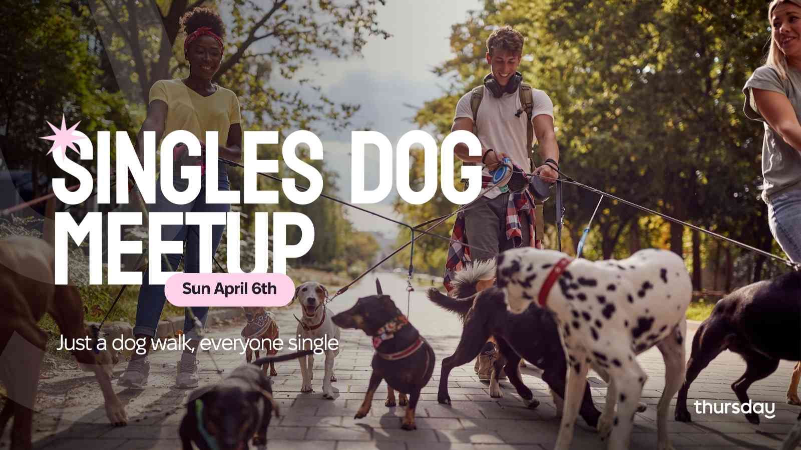 Sunday | Bark & Brunch | Orange County