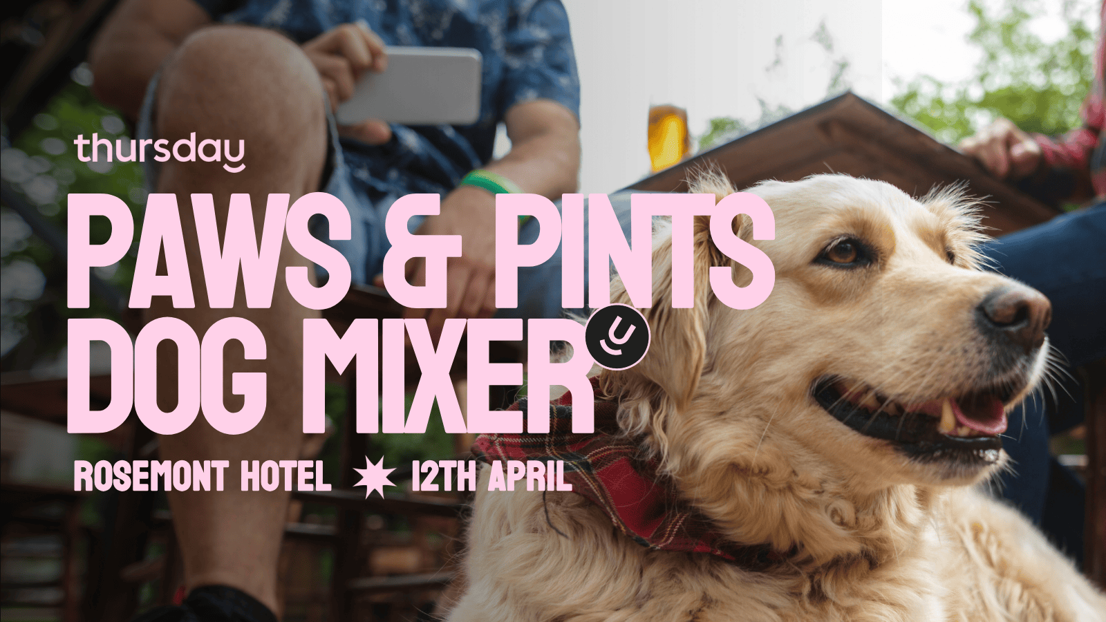 Saturday | Paws & Pints- Single Dog Mixer- Rosemount Hotel | North Perth