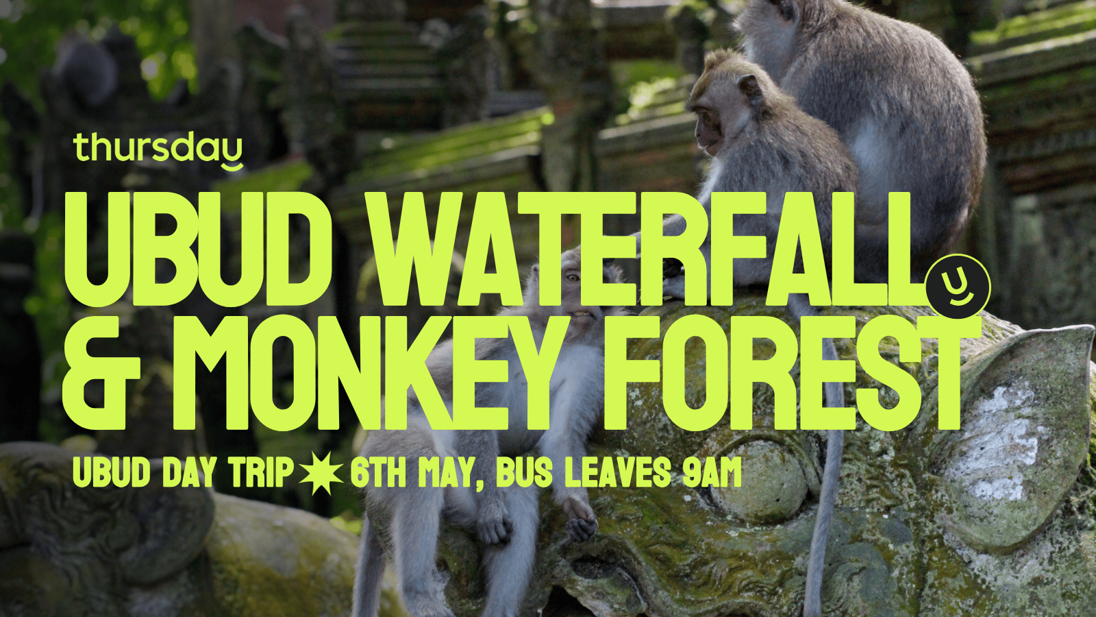 Tuesday | Ubud Day Trip, Monkey Forest & Waterfalls – Free Add On (limited spots) | Ubud, Bali
