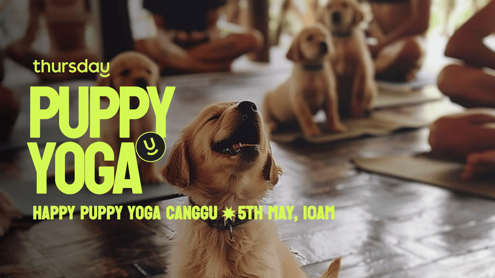 Monday | Puppy Yoga – Add On | Canggu, Bali