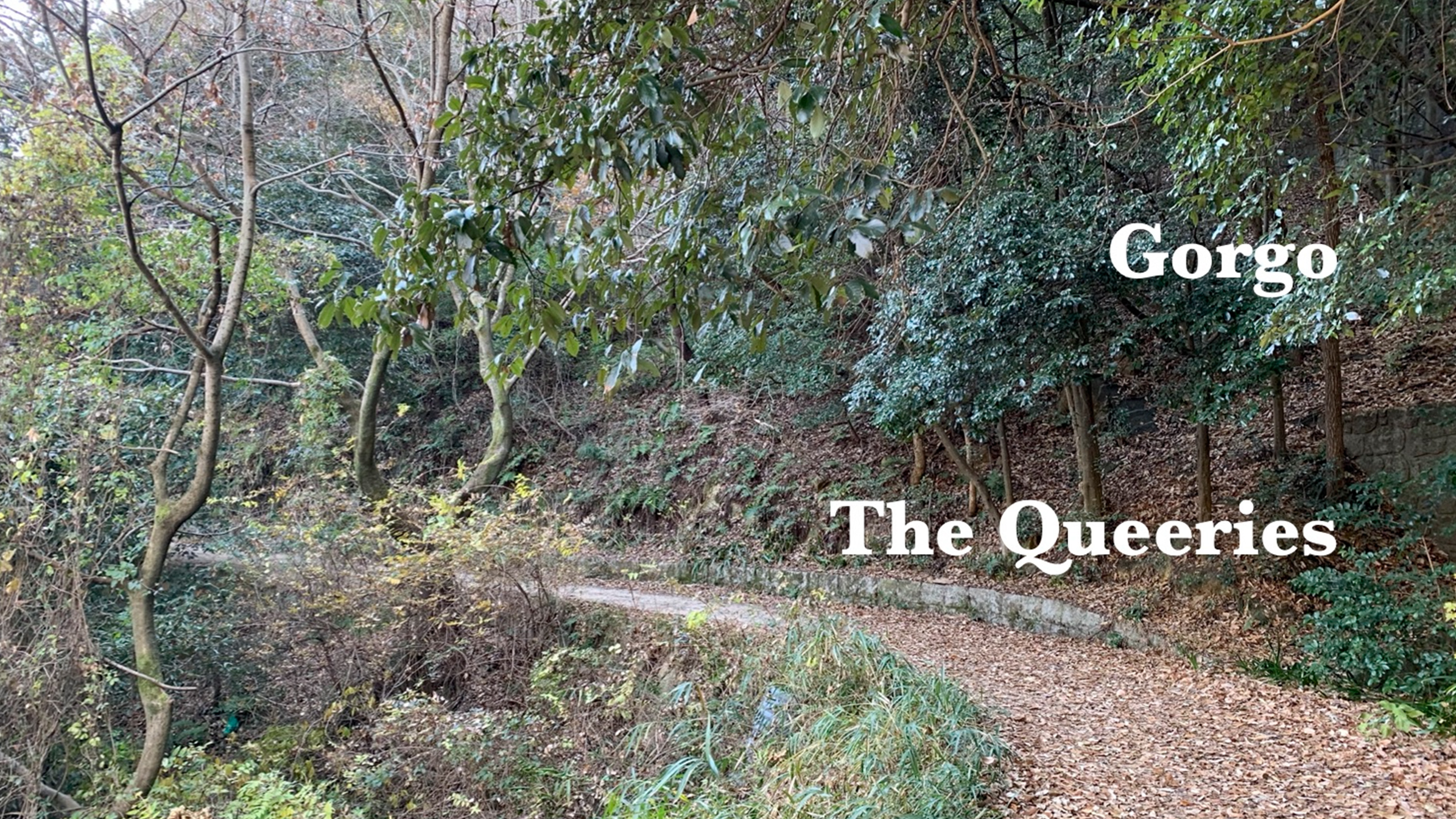 Gorgo – The Queeries – Macey Burns