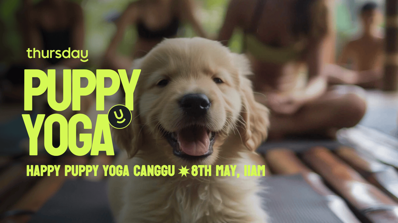 Thursday | Puppy Yoga – Add On | Canggu, Bali