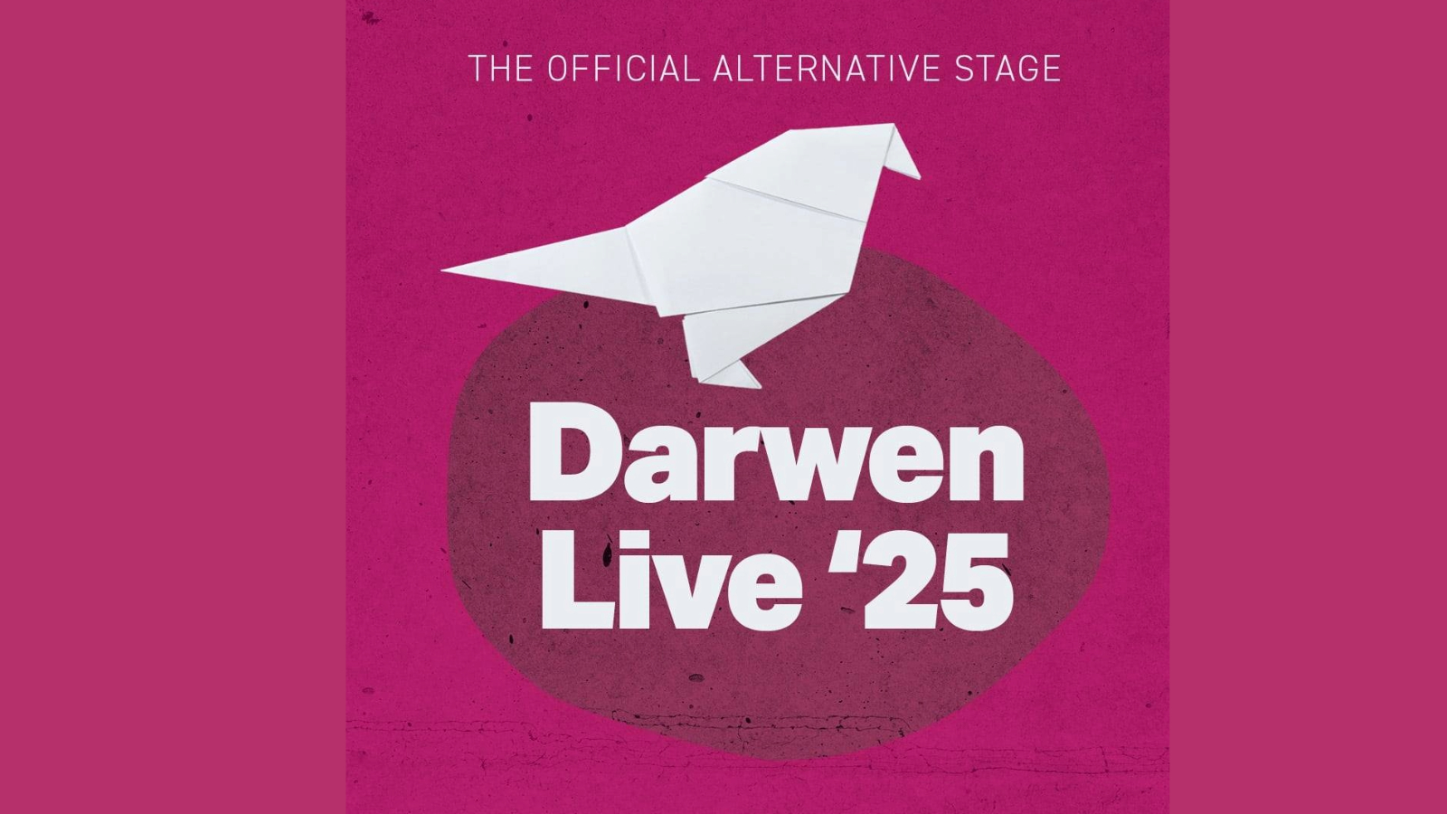 Darwen Live 2025 at Sunbird Records Day Two Sunday 25th May 2025