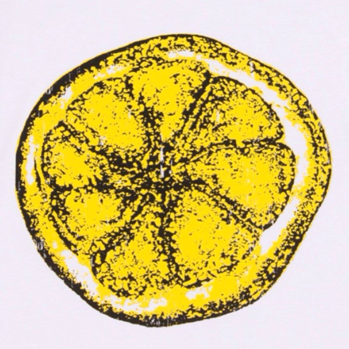 The Total Stone Roses