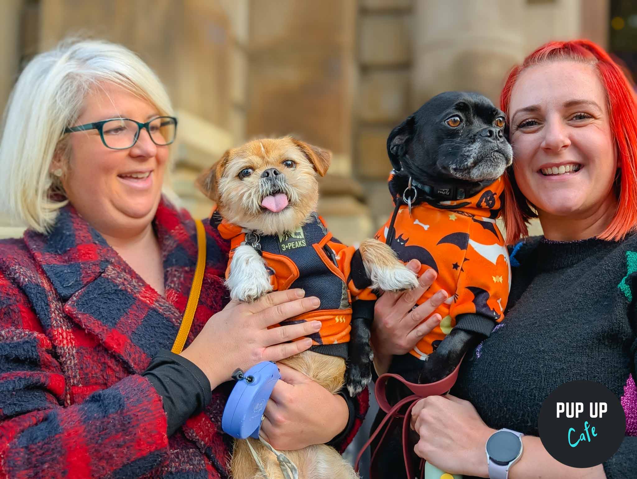 Halloween All Paws Pup Up Cafe – Cardiff 🎃