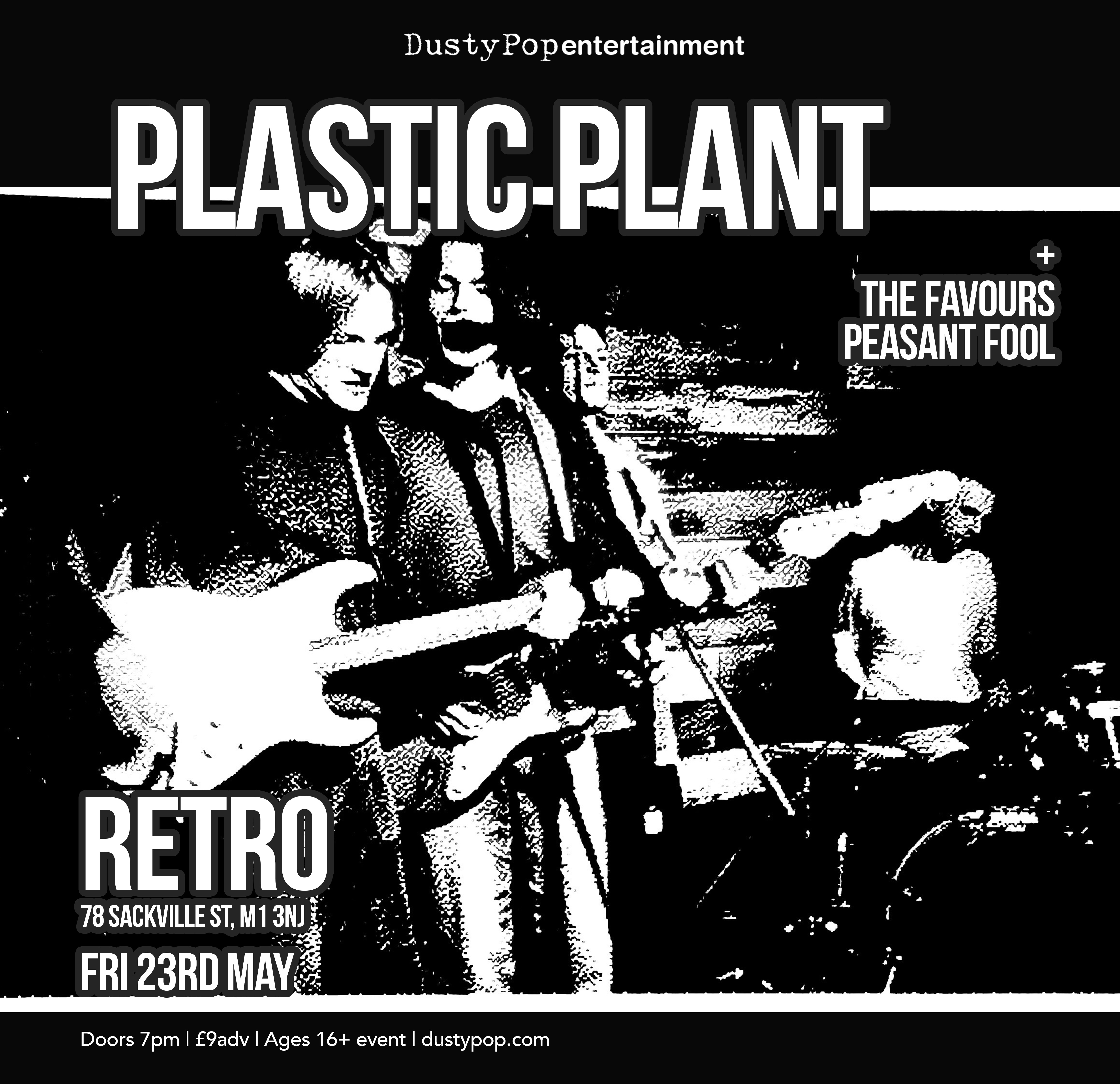 Plastic Plant