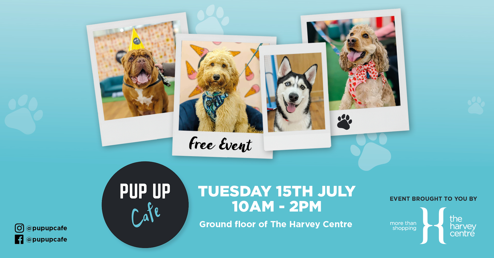 FREE: Pup Up Cafe at The Harvey Centre 🐶
