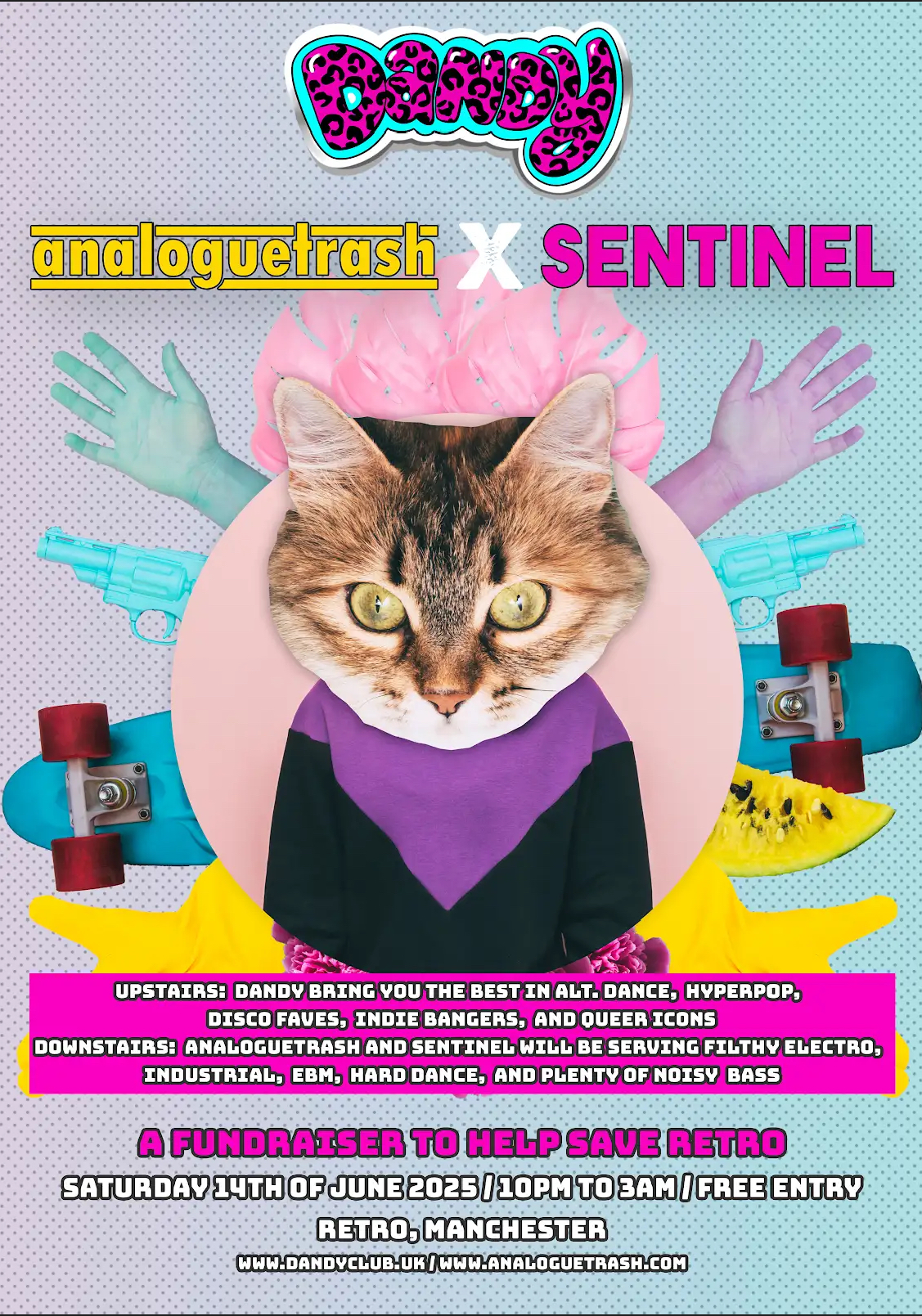 dandy x analoguetrash: a fundraiser to help save Retro!
