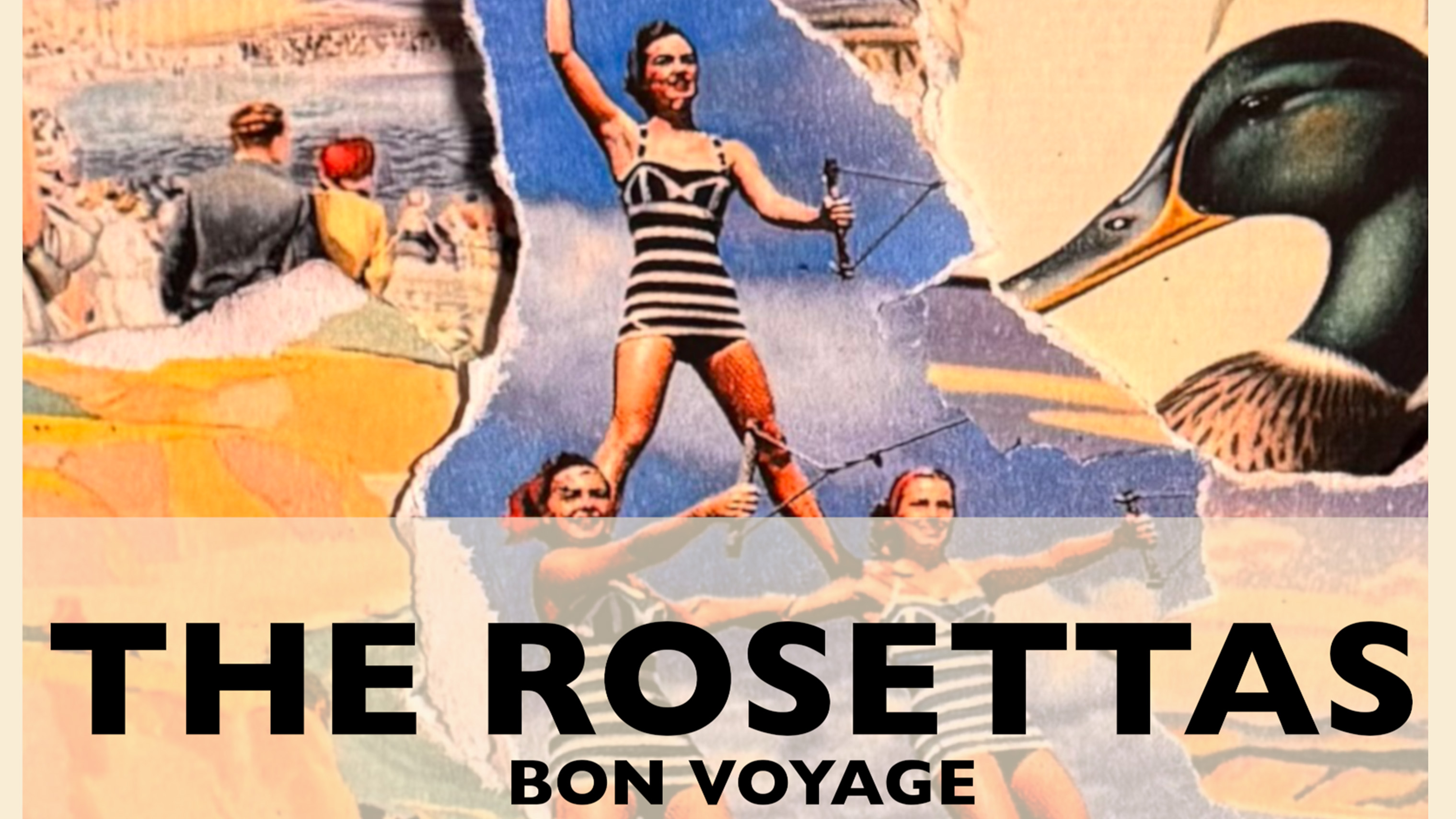 The Rosettas – Glass Frogs – Elekdead – Heartsink