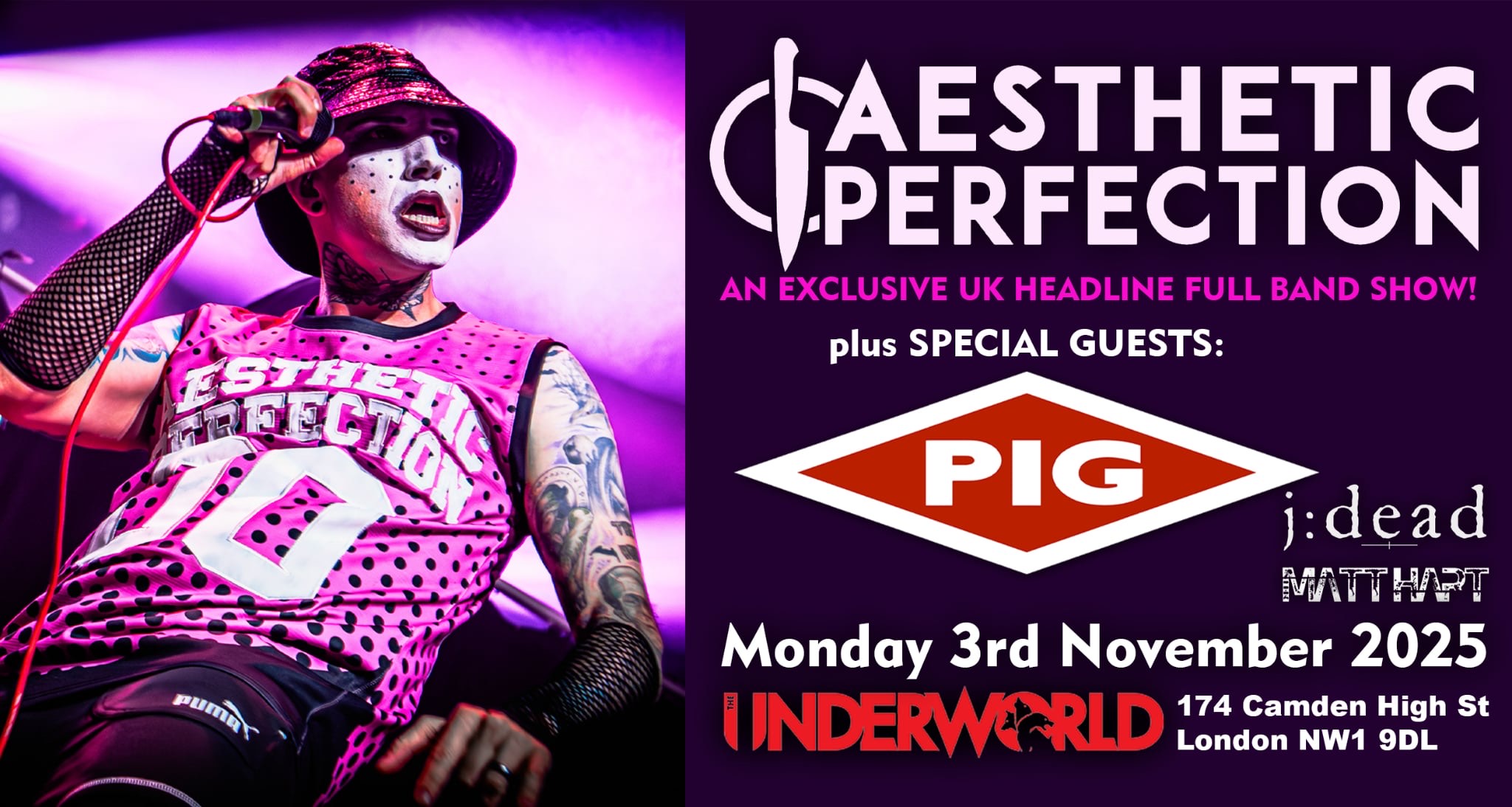 AESTHETIC PERFECTION + Special Guests:  P.I.G + J:DEAD & MATT HART