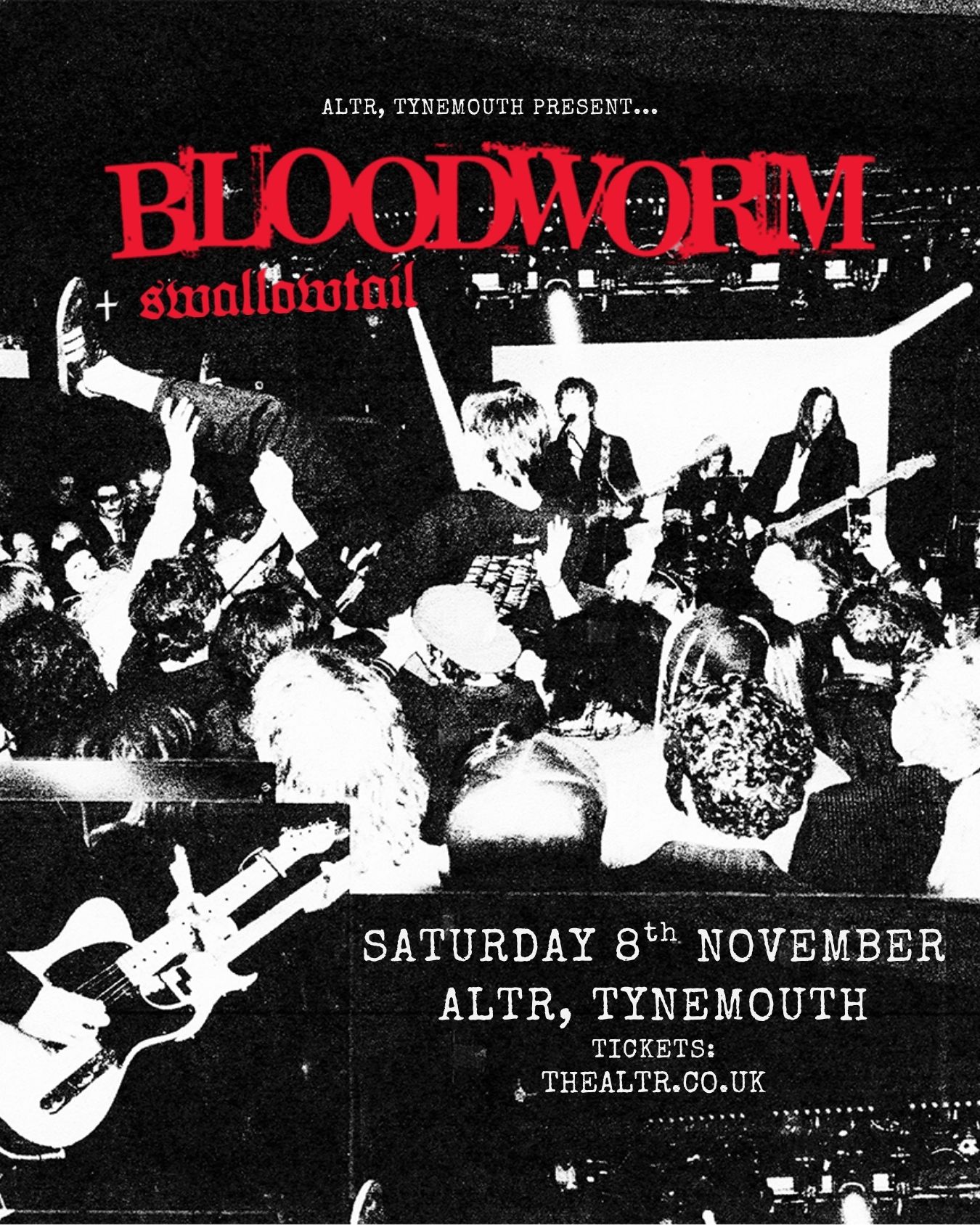 Bloodworm | Tynemouth