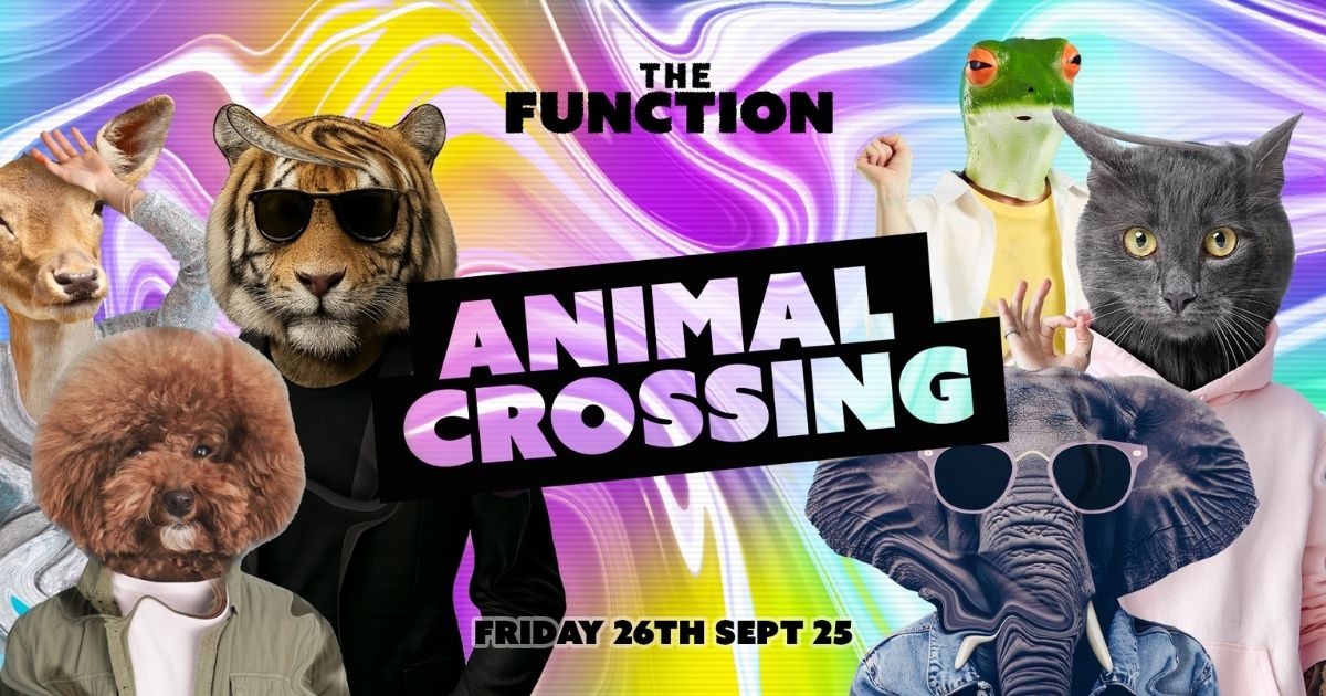 🐞 Animal Crossing 🐞 – The Function – Canterbury