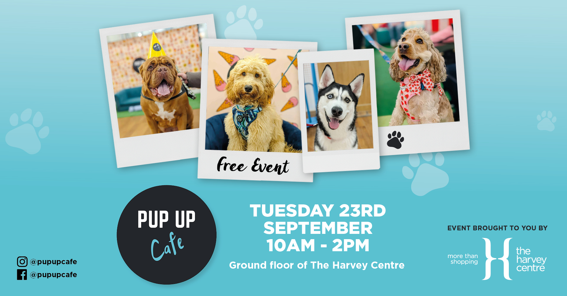 FREE: Pup Up Cafe at The Harvey Centre 🐶