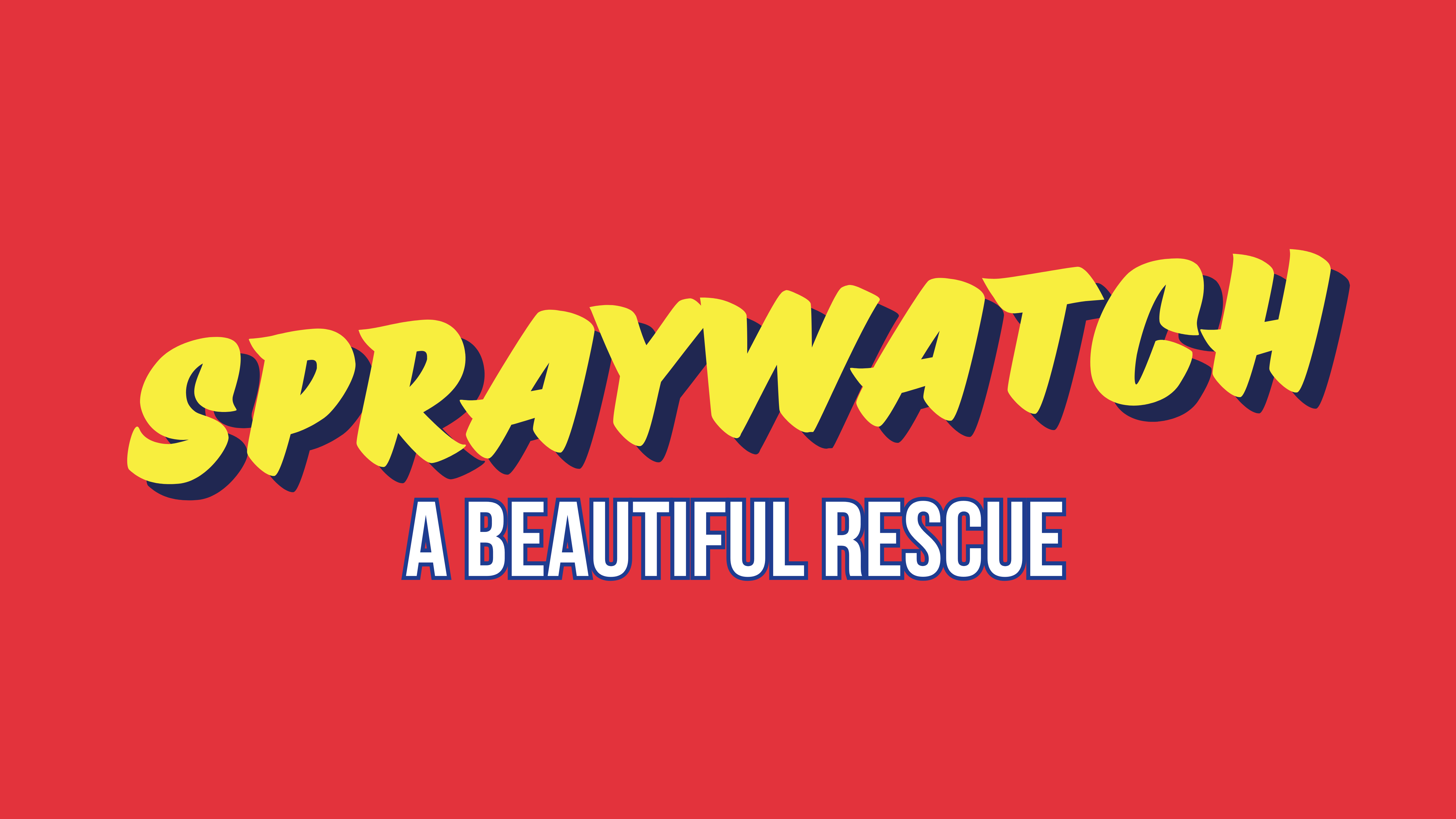 Spraywatch: A Beautiful Rescue