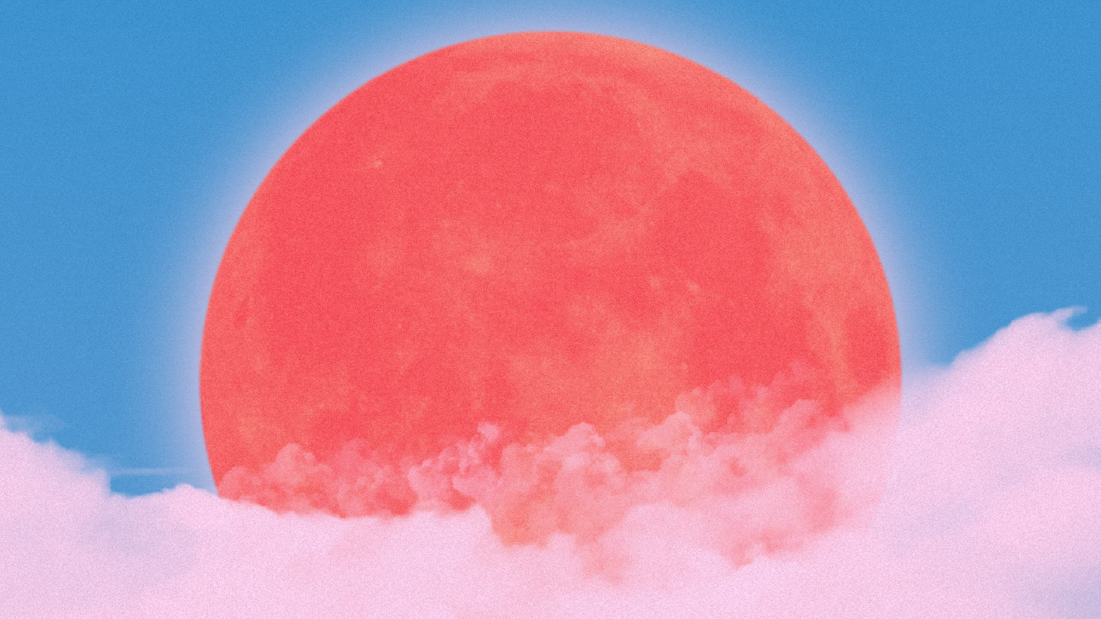 Luna Bay x Castells | Colchester, Coda