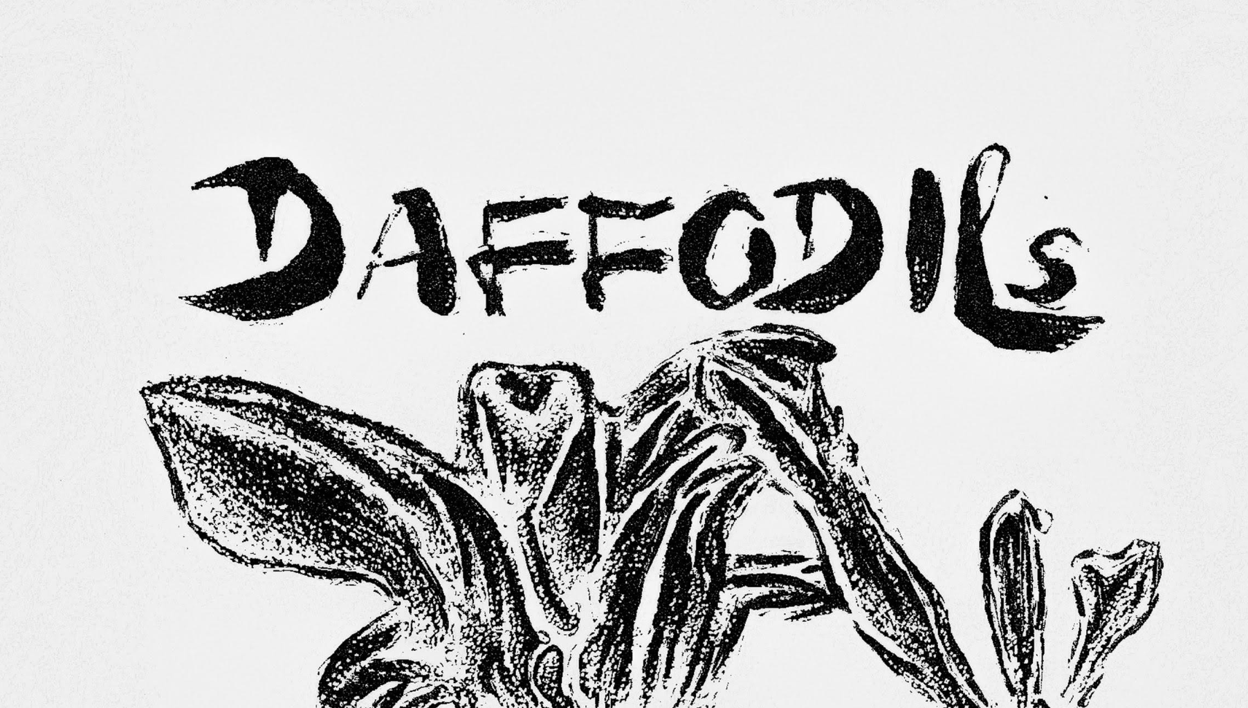 Daffodils + Dura Mater + Divorce Attorney + Nel Blu