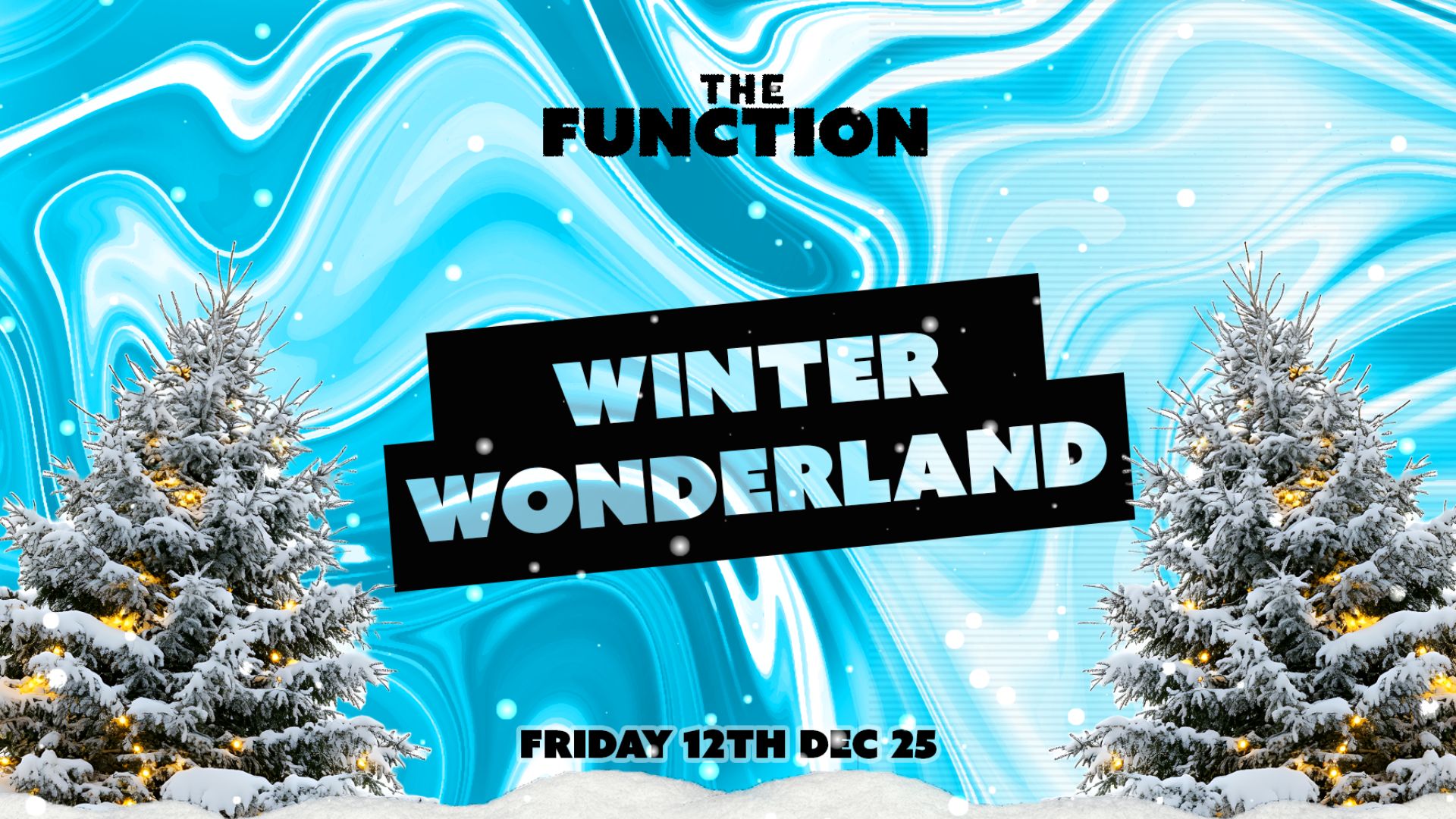 🎄Winter Wonderland 🎄- The Function – Canterbury