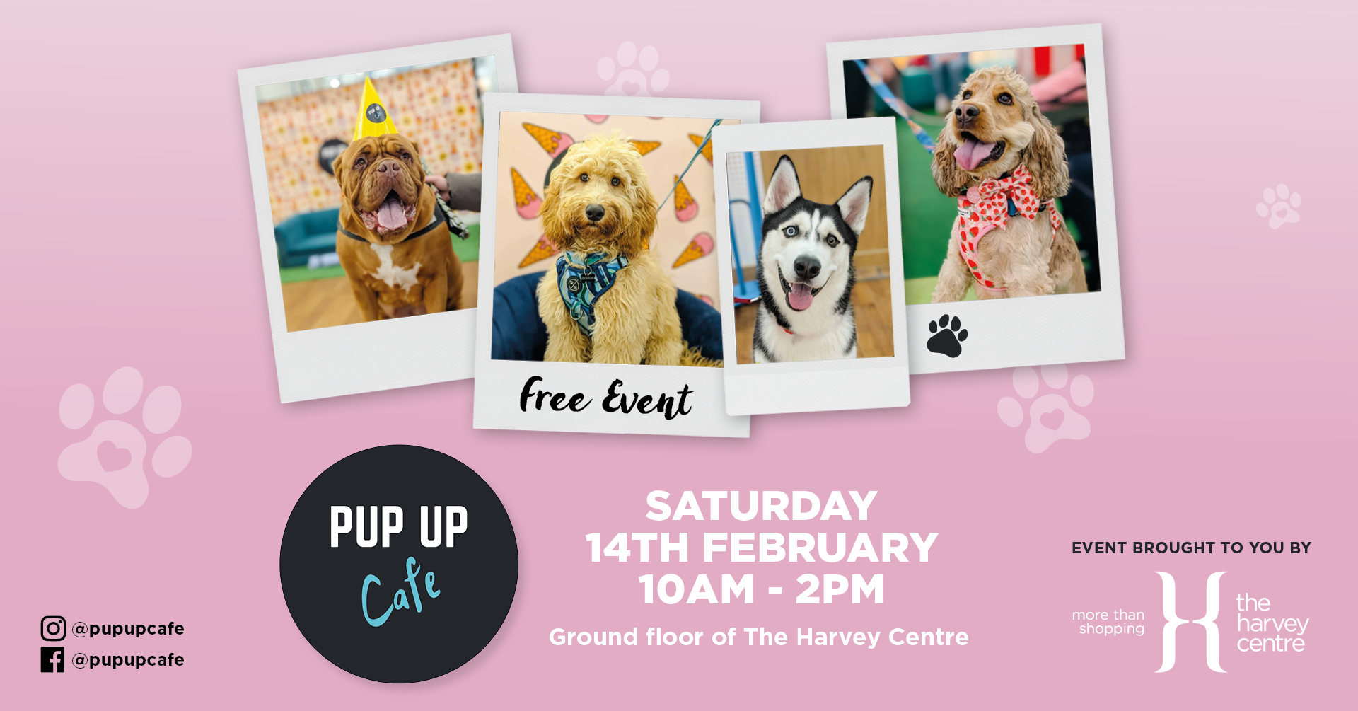 FREE: Pup Up Cafe at The Harvey Centre 🐶
