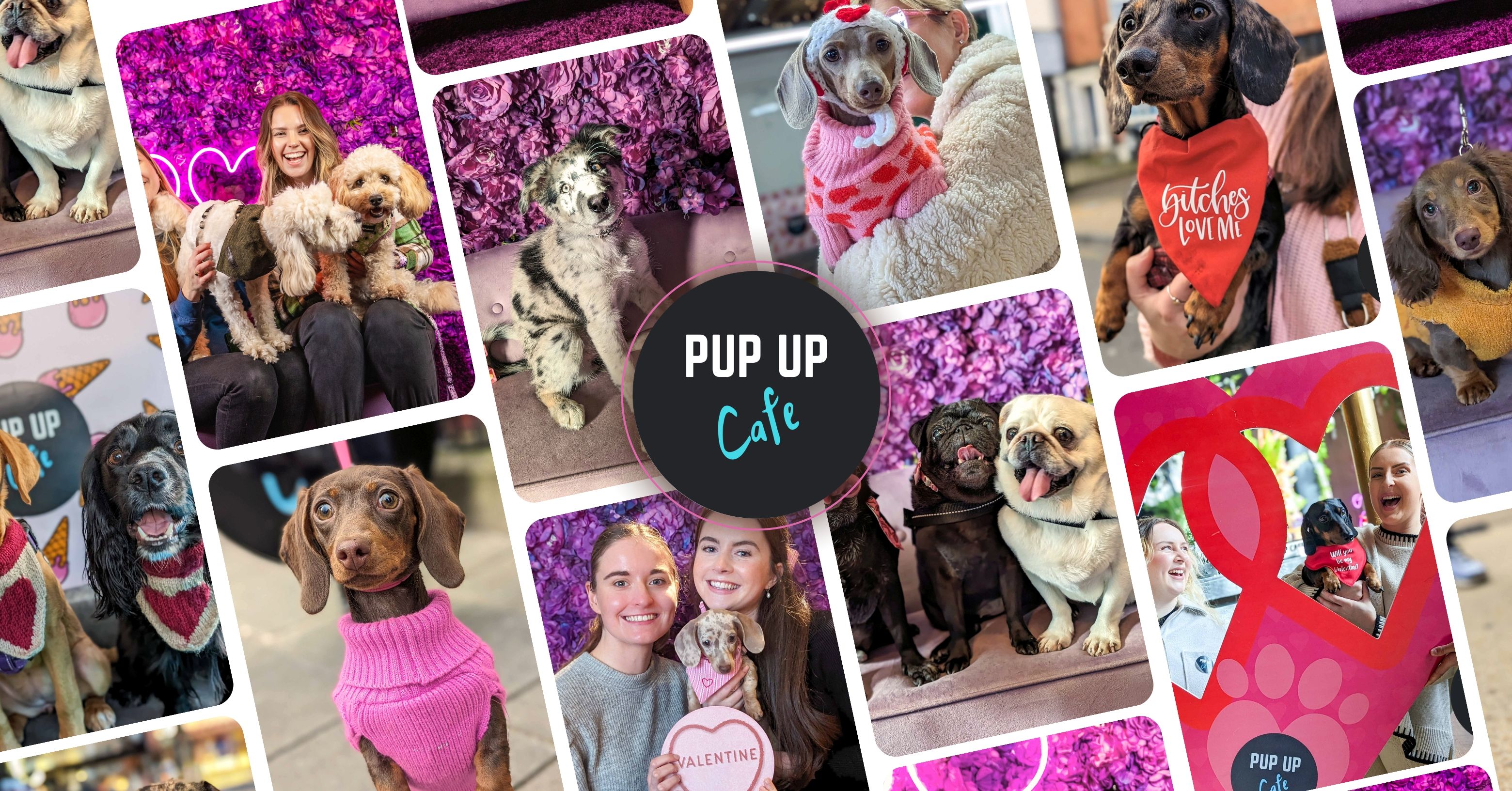Sheffield – All Paws Pup Up Cafe 💞