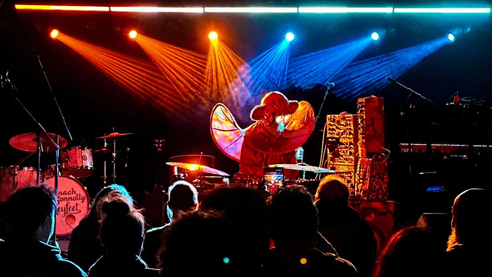 Paddy Steer – Saturday 7th March 2026 | Sunbird Records, Darwen