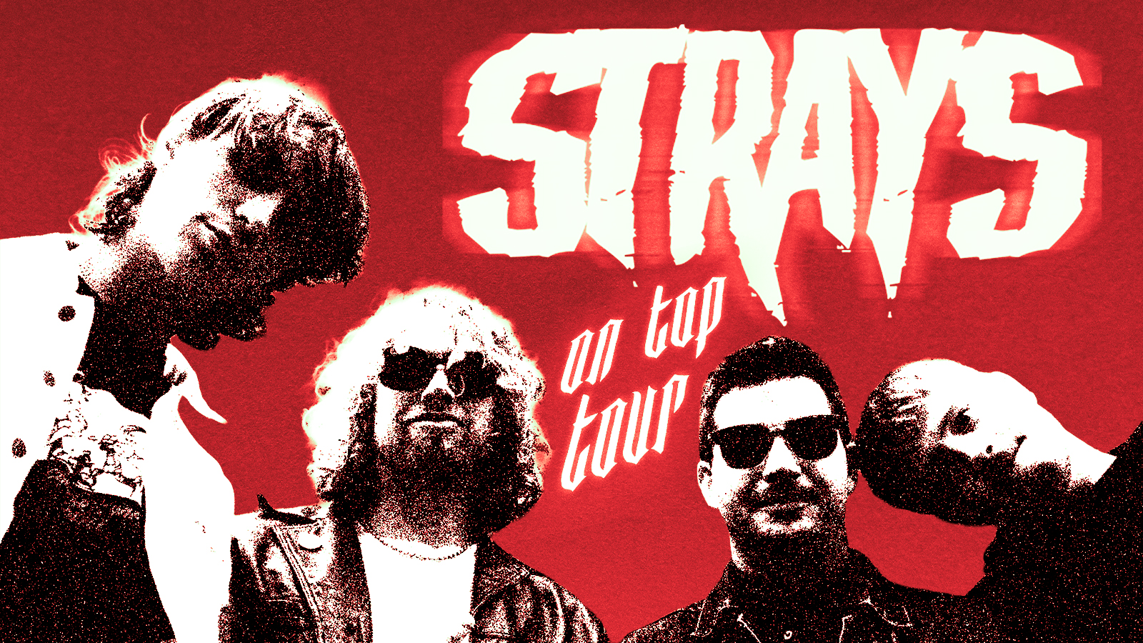 STRAYS – UK Tour: Sunderland @ The Ship Isis