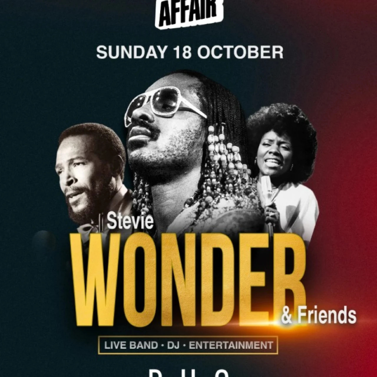 Soul Affair Stevie Wonder & Friends Special