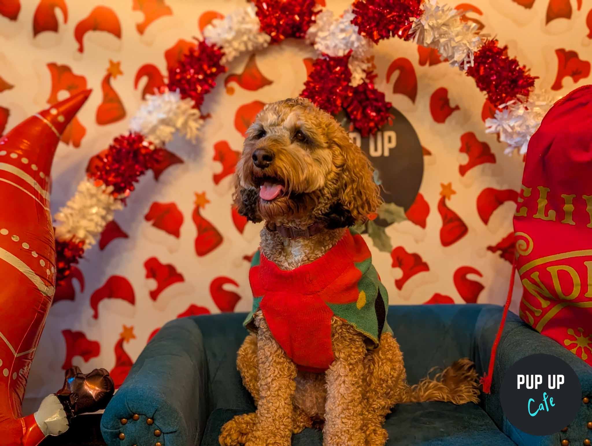 Bournemouth - Dashing Doodle Christmas Tour 🎄