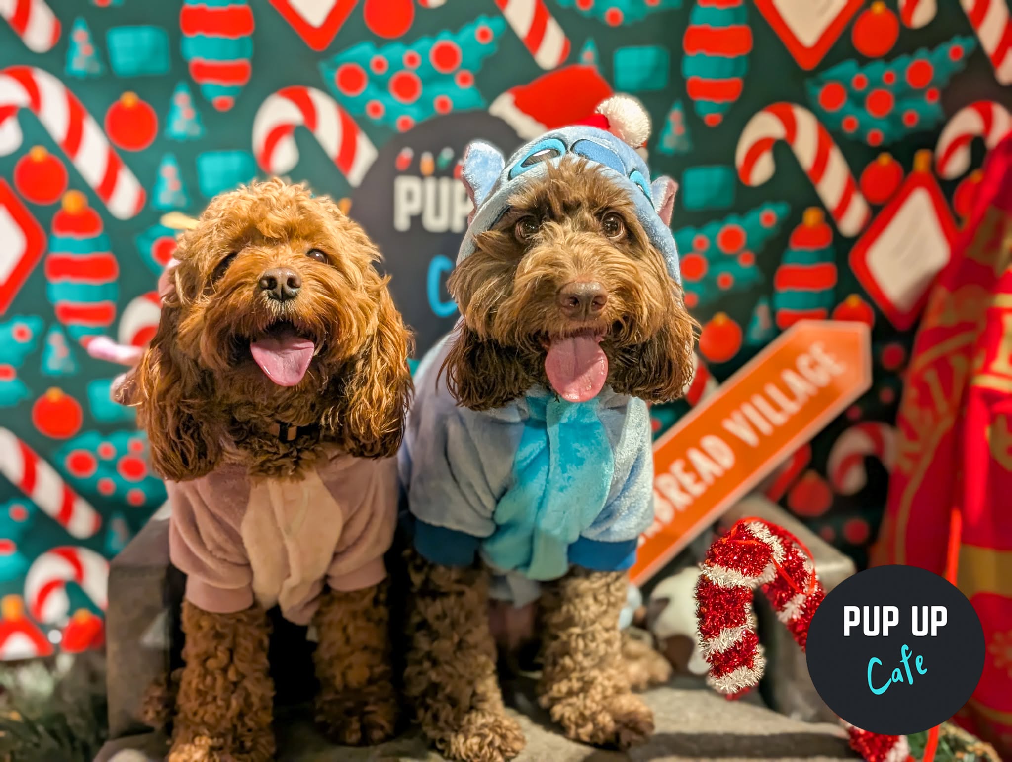 Birmingham - Dashing Doodle Christmas Tour 🎄