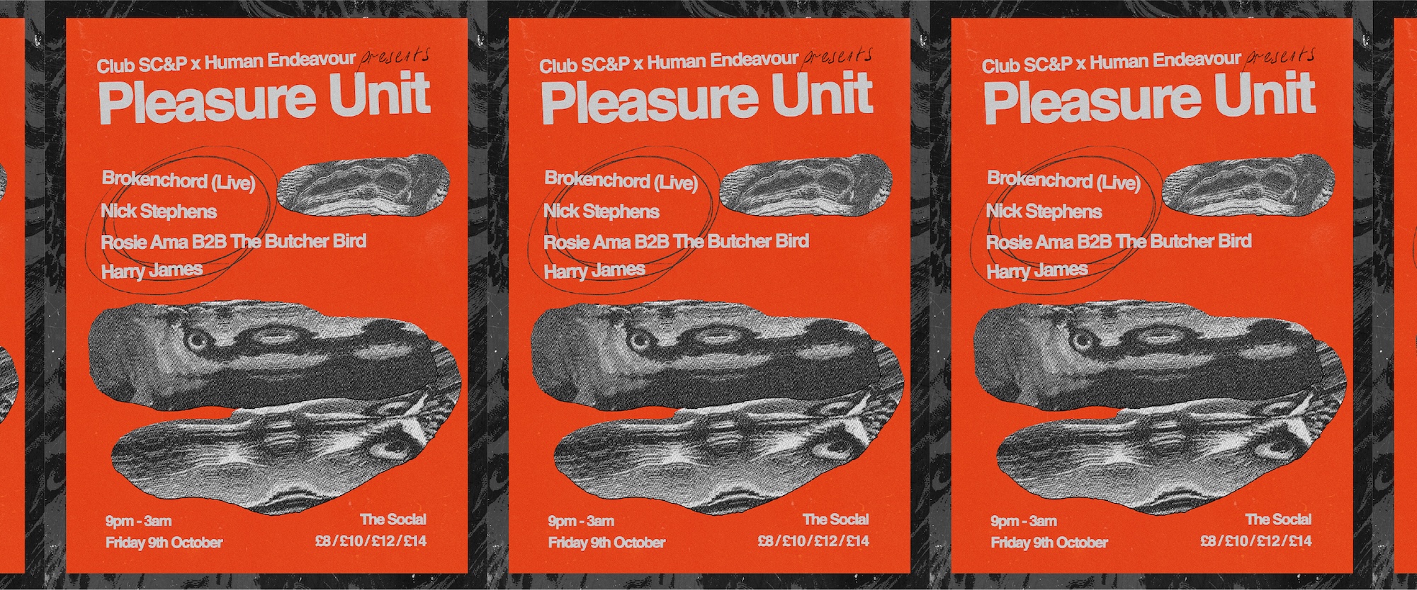 Pleasure Unit: Brokenchord (Live) + Rosie Ama + The Butcher Bird + Nick Stephens + Harry James