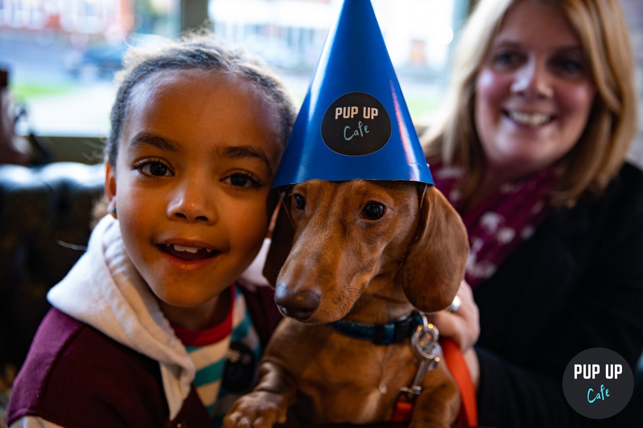 Dachshund Pop Up Cafe – London