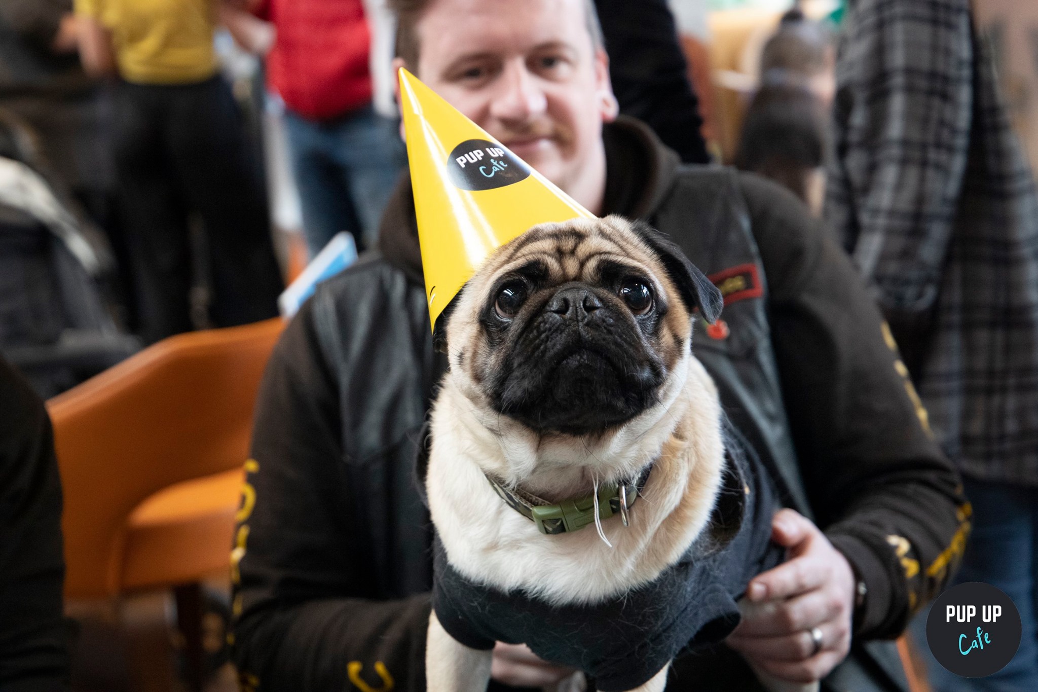 Pug Pup Up Cafe – Southampton