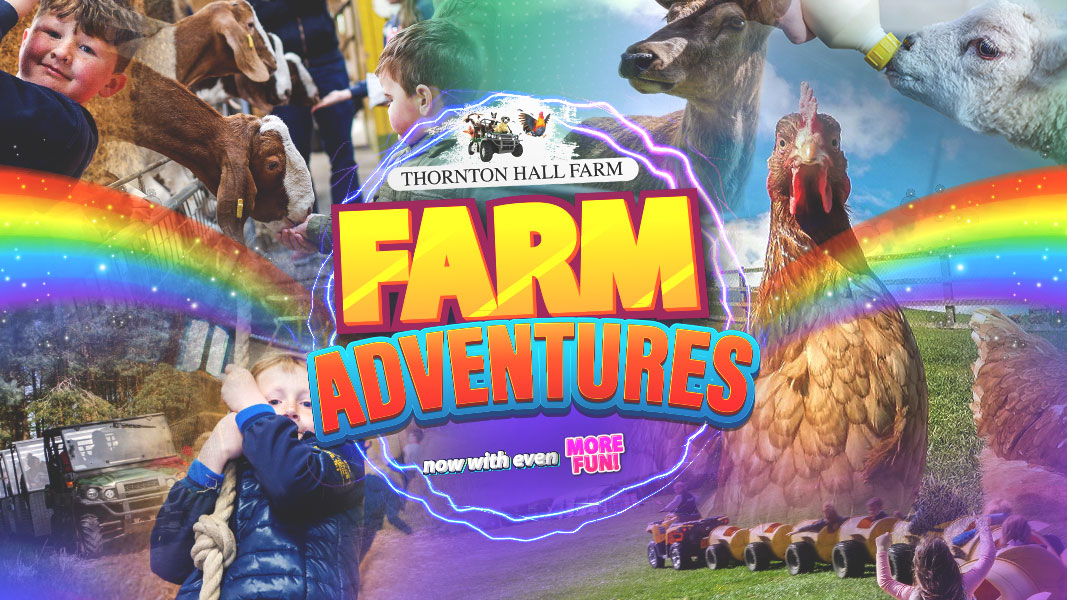 Thornton Hall Farm Farm Park Entry All Day Ticket Saturday 3rd