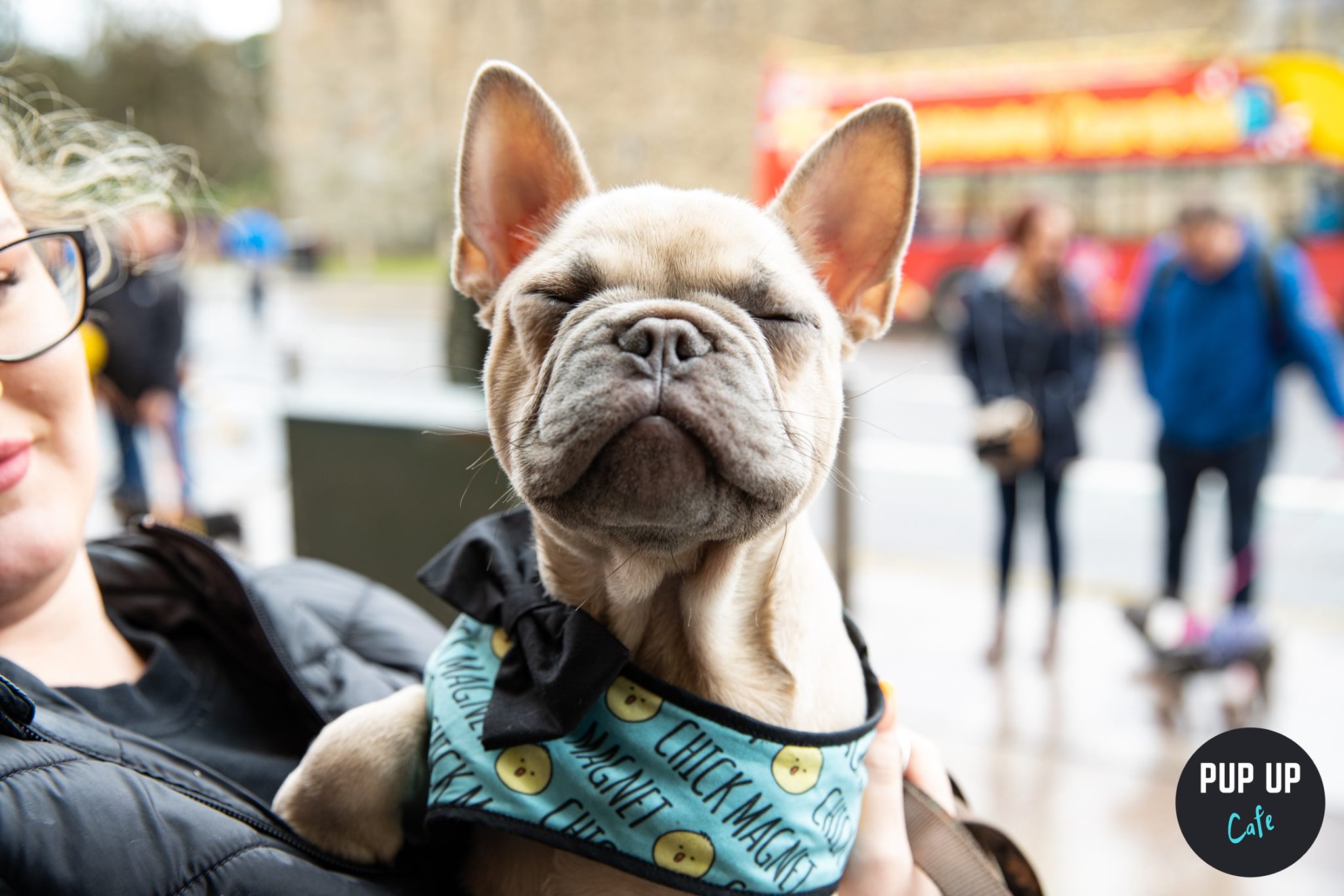 Frenchie Pup Up Cafe – High Wycombe